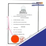 Notary & High Court Apostille Services (South Africa)