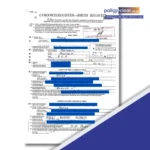 Vault Copy of Birth Certificate (South Africa)
