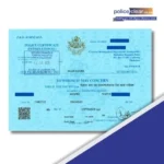 Zimbabwe police clearance certificate