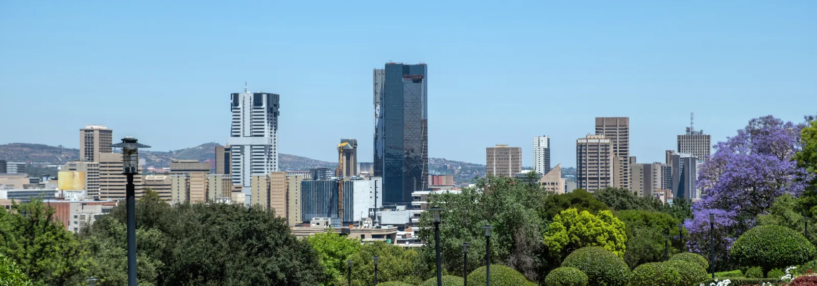The Pretoria city centre skyline with jacaranda trees in bloom in the foreground