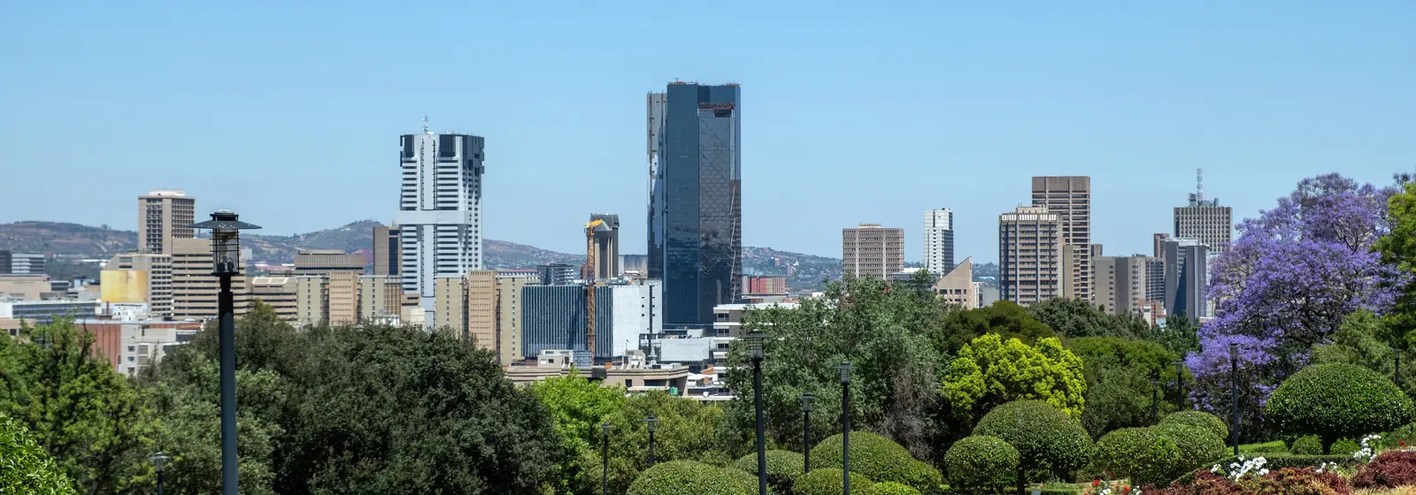The Pretoria city centre skyline with jacaranda trees in bloom in the foreground